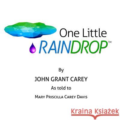 One Little Raindrop Mary Priscilla Carey Davis 9781507508558