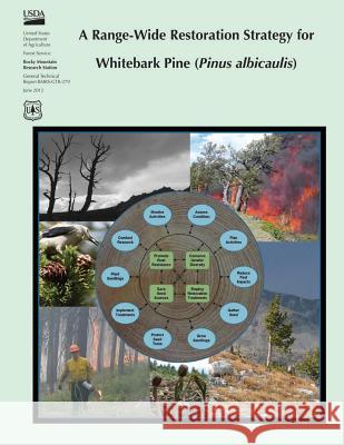 A Range-Wide Restoration Strategy for Whitebark Pine (Pinus albicaulis) United States Department of Agriculture 9781507635858 Createspace