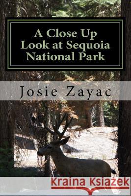 A Close Up Look at Sequoia National Park Dr Josie Zayac 9781507636565