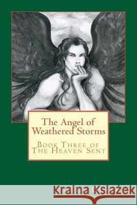 The Angel of Weathered Storms Beth Gualda 9781507650691