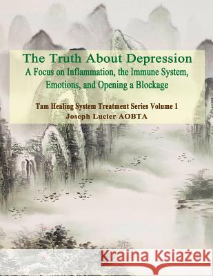 The Truth About Depression: Return to Balance - Focus on Inflammation, the Immune System and Opening a Blockage Lucier Aobta, Joseph 9781507710265 Createspace