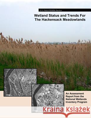 Wetland Status and Trends for the Hackensack Meadowlands: An Assessment Report from the U.S. Fish and Wildlife Service's National Wetlands Inventory P U S Fish & Wildlife Service 9781507728338 Createspace