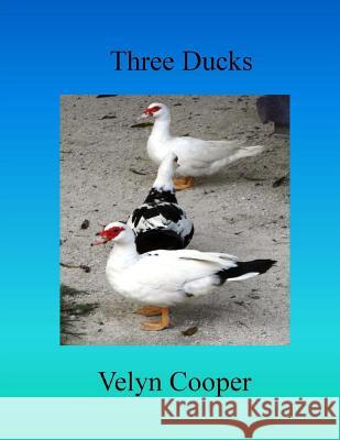 Three Ducks Velyn Cooper 9781507868539 Createspace