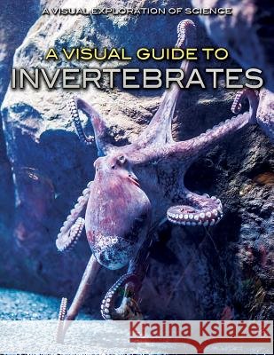 A Visual Guide to Invertebrates Sol90 Editorial 9781508182368 Rosen Young Adult