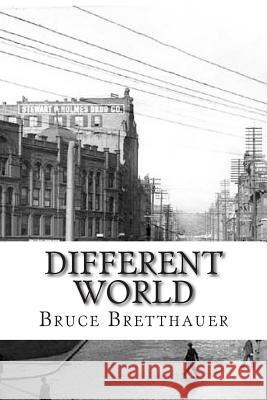 Different World: A Gina Stone Mystery Bruce H. Bretthauer 9781508400103 Createspace