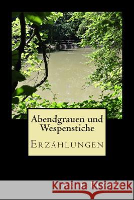 Abendgrauen und Wespenstiche: Erzählungen Plotze, Axel 9781508405764 Createspace