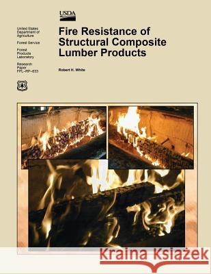 Fire Resistance of Structural Composite Lumber Products United States Department of Agriculture 9781508445968 Createspace