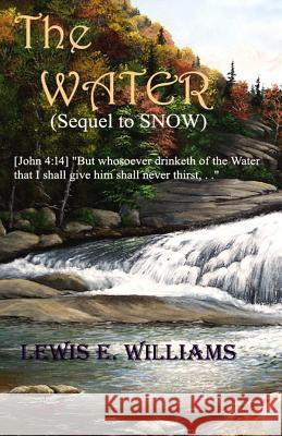 The Water: A Christian novel for the Young at Heart circa 1740 Williams, Lewis E. 9781508447412