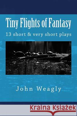 Tiny Flights of Fantasy: 13 short & very short plays about things that don't happen, but should Weagly, John 9781508510680 Createspace