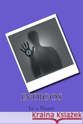Indigos: In a Name Sherri Waldro 9781508528777