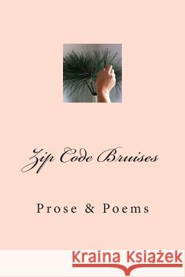 Zip Code Bruises: Prose & Poetry Lisa Flowers 9781508574767 Createspace Independent Publishing Platform