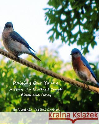 Raising Our Young: A Story of a Bluebird Couple Bluey and Rosey Virginia Cabibil Carlson 9781508601685 Createspace