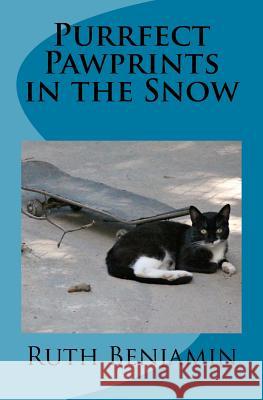 Purrfect Pawprints in the Snow Dr Ruth Benjamin 9781508651635