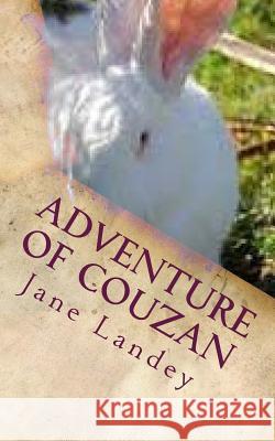 Adventure of Couzan: Chinese Version Jane Landey 9781508681922 Createspace