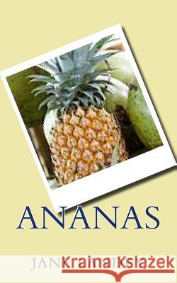 Ananas Jane Landey 9781508718031 Createspace