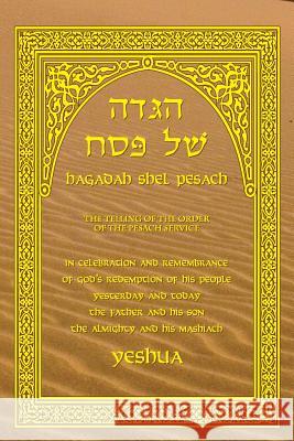 Haggadah Shel Pesach: The Telling of the Pesach Service Brian Knapp 9781508734864