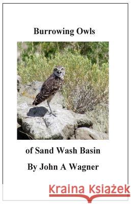 Burrowing Owls of Sand Wash Basin John a. Wagner 9781508748656