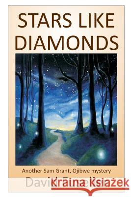 Stars Like Diamonds David Fuselier 9781508819998 Createspace Independent Publishing Platform