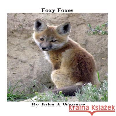 Foxy Foxes John a. Wagner 9781508881230 Createspace