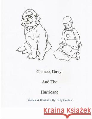 Chance, Davy, And The Hurricane Grottini, Sally 9781508928621 Createspace Independent Publishing Platform