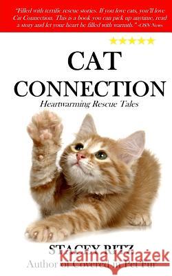 Cat Connection: Heartwarming Rescue Tales Stacey Ritz 9781508973614