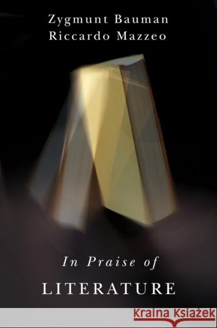 In Praise of Literature Riccardo Mazzeo 9781509502691