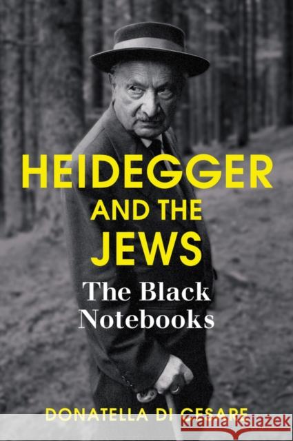 Heidegger and the Jews: The Black Notebooks Di Cesare, Donatella 9781509503834