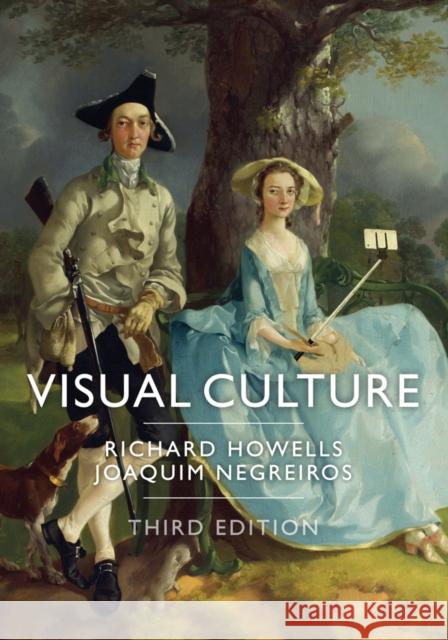 Visual Culture Richard Howells Joaquim Negreiros 9781509518777 Polity Press