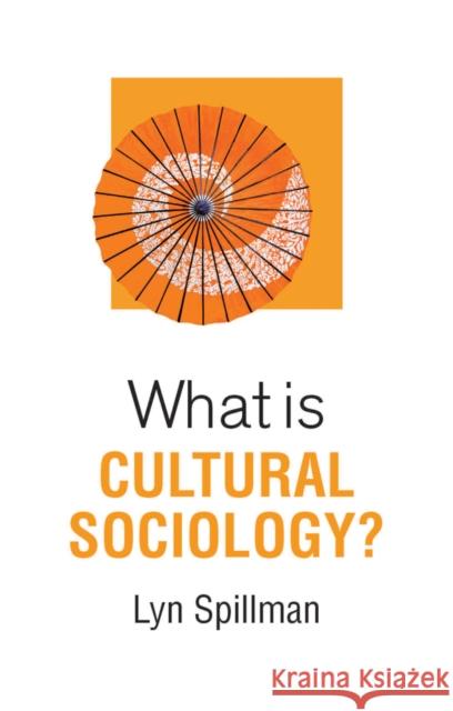 What Is Cultural Sociology? Spillman, Lyn 9781509522804 Polity Press