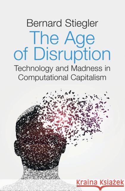The Age of Disruption: Technology and Madness in Computational Capitalism Stiegler, Bernard 9781509529278