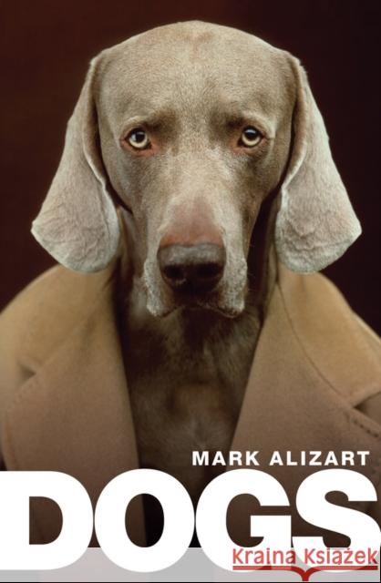 Dogs: A Philosophical Guide to Our Best Friends Alizart, Mark 9781509537280