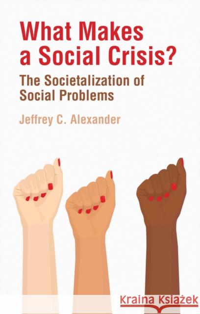 What Makes a Social Crisis?: The Societalization of Social Problems Alexander, Jeffrey C. 9781509538249