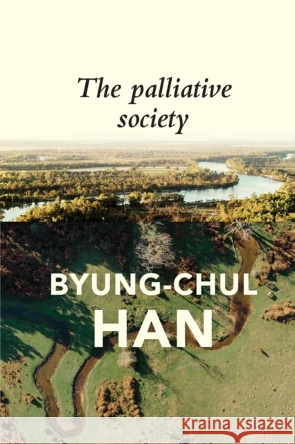 The Palliative Society: Pain Today Byung-Chul Han Daniel Steuer 9781509547234