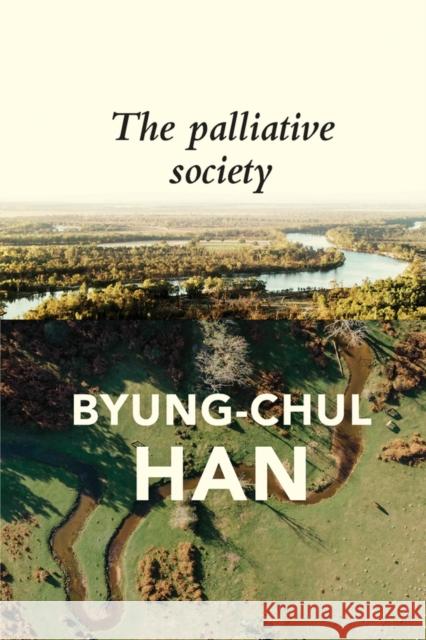 The Palliative Society: Pain Today Byung-Chul Han Daniel Steuer 9781509547234 Polity Press