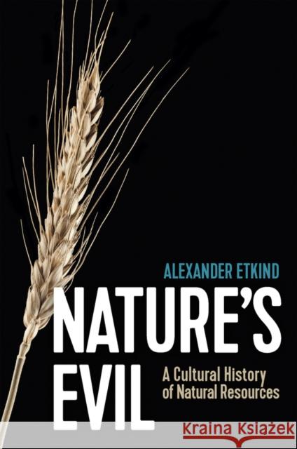 Nature's Evil: A Cultural History of Natural Resources Alexander Etkind Sara Jolly 9781509547586