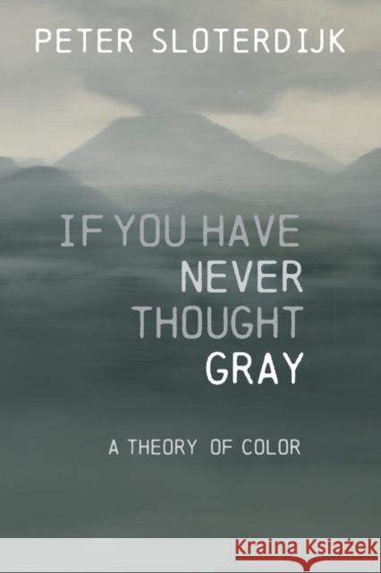If You Have Never Thought Grey Peter (Karlsruhe School of Design) Sloterdijk 9781509557493