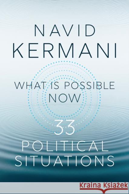 What is Possible Now Navid Kermani 9781509557639 Polity Press