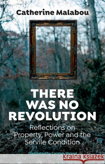 There Was No Revolution: Reflections on Property, Power and the Servile Condition Catherine (University of Paris-X Nanterre) Malabou 9781509567577
