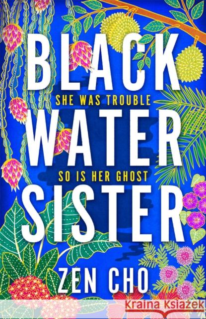 Black Water Sister Zen Cho 9781509800001 Pan Macmillan