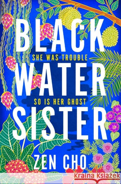 Black Water Sister CHO  ZEN 9781509800018 Pan Macmillan