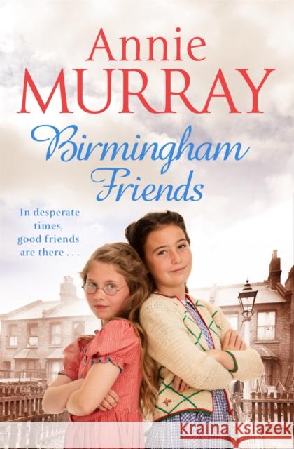 Birmingham Friends Annie Murray 9781509807871 Pan Macmillan
