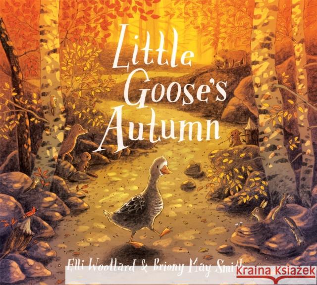 Little Goose's Autumn Elli Woollard 9781509807970