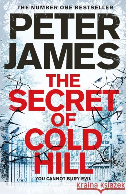 The Secret of Cold Hill James, Peter 9781509816248 Macmillan