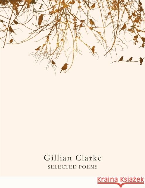 Selected Poems Gillian Clarke 9781509821921 Pan Macmillan