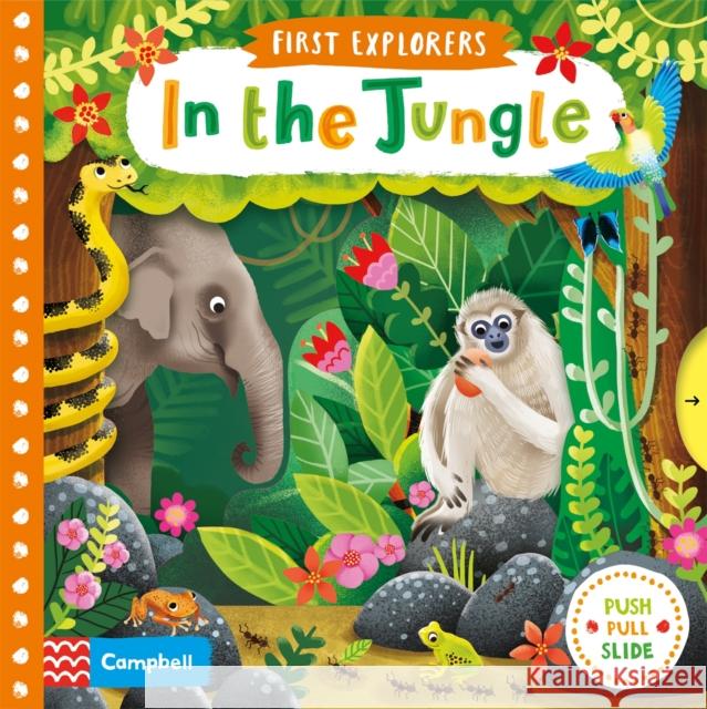 In the Jungle Wren, Jenny 9781509832606