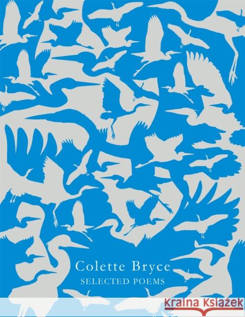 Selected Poems Colette Bryce 9781509840380