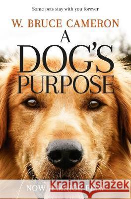 A Dog's Purpose W. Bruce Cameron 9781509852826 Pan Macmillan