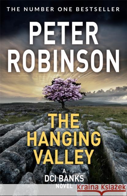 The Hanging Valley: A compulsive police suspense featuring Inspector Banks Peter Robinson 9781509859047 Pan Macmillan