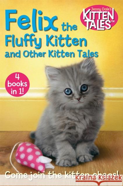 Felix the Fluffy Kitten and Other Kitten Tales Jenny Dale 9781509871261 Pan MacMillan