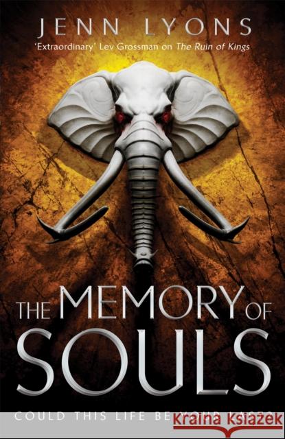 The Memory of Souls Jenn Lyons 9781509879588